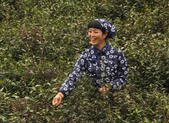 百丽直播5589入口 热门8